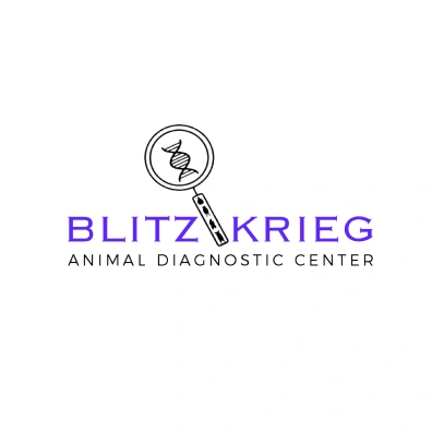 blitz krieg