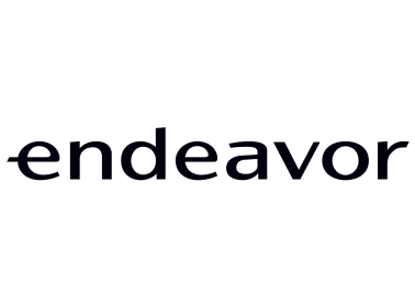 endeavor