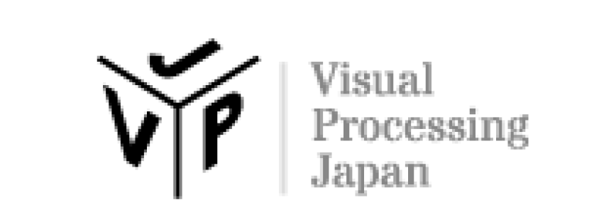 visual processing japan